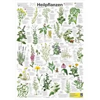 Close Up Poster Heilpflanzen Poster deutsch DIN A1 59,4 x 84,1 cm