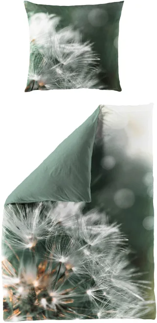 BIERBAUM Bettwäsche "5084" 2 Stk. Mako-Satin, 100 % Baumwolle, pflegeleicht; Digitaldruck