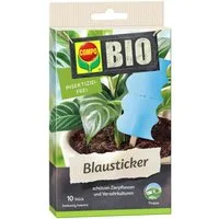 Compo Insektenvernichter Compo Bio Blausticker gegen Thripse 10 Stück