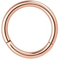 Wildcat Nasenpiercing Hinged Segmentring für Ohr, Nase, Lippe, Bauchnabel, 1 Stück, Chirurgenstahl 316L - wasserfest, hautverträglich, Roségold