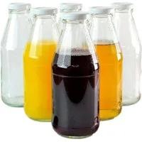gouveo Trinkflasche Saftflaschen 500 ml mit Schraub-Deckel - Kleine Flasche 0,5 l, 6er Set, weiß