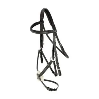 Covalliero Trense Cancun VB/ COB (Vollblut)