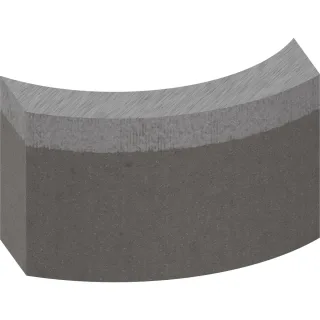 Bosch PRO Segmente für Diamantbohrkrone Standard for Concrete - 2608601745
