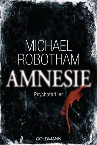 Amnesie: Joe O'Loughlins 2. Fall (Joe O'Loughlin und Vincent Ruiz Band 2)