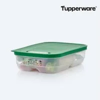 TUPPERWARE Frischhaltedose KlimaOase 1,8 l flach