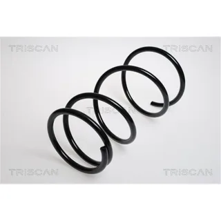 Triscan Feder vorne Toyota Rav 4 1 2,0