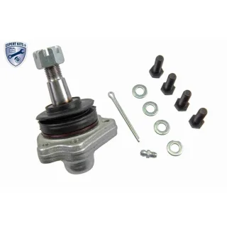 Ackoja Traggelenk vorne Ford Maverick Nissan Pick Terrano Urvan