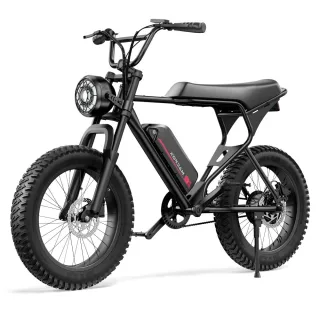 [EU Direct] Macfox X1S Electric Bike 48V 10.4Ah Battery 250W Motor Top Speed 25KM/H 20*4.0inches Tires 61KM Max Mileage