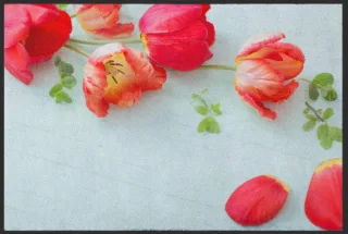 Fussmatte  5078 | Größe: 60 cm x 45 cm