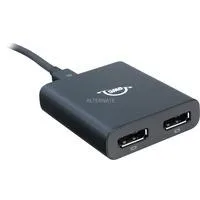 Thunderbolt 3/2x DisplayPort Adapter schwarz
