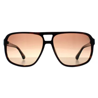 Timberland Aviator Herren dunkel Havanna braun polarisiert TB00031