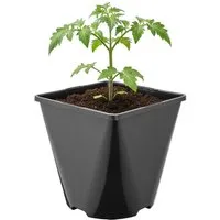 Garronda Blumentopf Kunststoff eckig abgerundet mit Drainagelöchern für Garten GD-0200 (1 St)