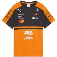 McLaren Print-Shirt McLaren F1 Team T-Shirt Puma 2026
