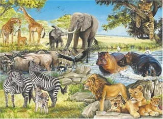 Ravensburger 13137 - Tiere Afrikas 300 Teile Puzzle