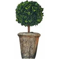 Kunstblume Deko-Baum Aube grün, Mirabeau, Höhe 20.0 cm