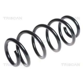 Triscan Feder vorne Audi A4 A6 875029268
