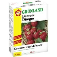 ASB Greenworld Gemüsedünger ASB Greenworld Spezial-Beerendünger 2,5 kg