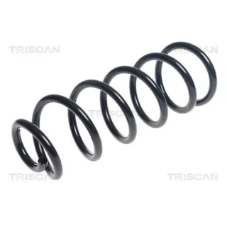 Triscan Feder hinten Mazda Cx-5 875050113