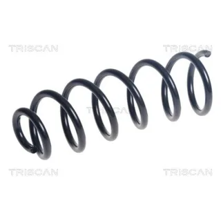 Triscan Feder hinten Dacia Sandero 1,5 875025139