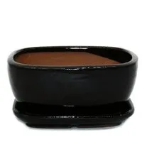 Exotenherz Pflanzschale Bonsai-Schale Unterteller Gr.2 Schwarz Anthrazit rechteckig GB5 L 17cm (1 St)
