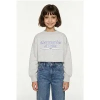 Abercrombie Kids Sweatshirt AFG SPORT LOGO SWEATSHIRT Elastische Ärmelbündchen mit Daumenlöcher
