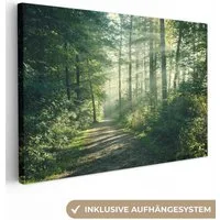 OneMillionCanvasses® Leinwandbild Wald - Weg - Sonne - Bäume - Grün - Natur, Fotodruck (1 St), Leinwand Bilder Klein, Wand Dekoration Aesthetic 30x20 cm