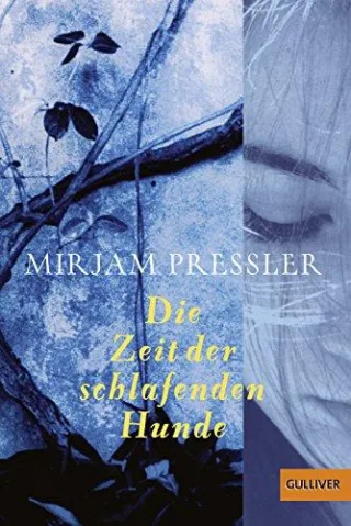 Die Zeit der schlafenden Hunde: Roman (Gulliver)