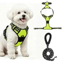 BlingBin Hunde-Geschirr Antizug Hundegeschirr mit Leine, Anti Zieh Geschirr für Hunde, Nylon und Polyester, Atmungsaktives und Reflektierendes Brustgeschirr für Mittelgroße Hunde
