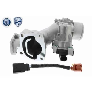 Vemo Drosselklappenstutzen Fiat Ducato Iveco Daily V24-81-0002