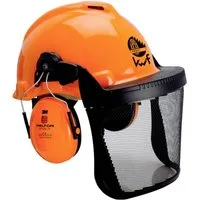 3M Schutzhelm ™ Kombination für die Forstwirtschaft, Schutzhelm inH31 7100330455, mit integriertem Visier