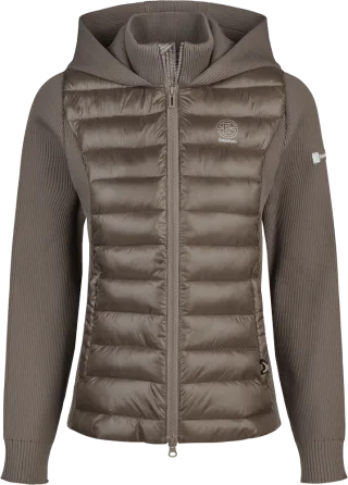 Hybrid-Jacke Dynamic