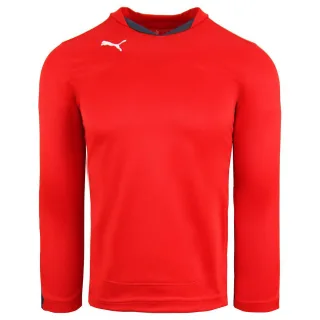 Puma v5.08 Buffon Torhüterhemd Langarm Red Mens Top 700489 24