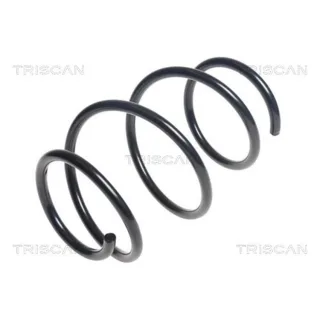 Triscan Feder vorne BMW Z4 875011165