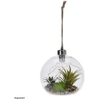 Koopman LED Dekolicht Leuchtdeko zum Hängen LED, LED, Glaskugel mit künstlichen Tillandsien und Lichterkette