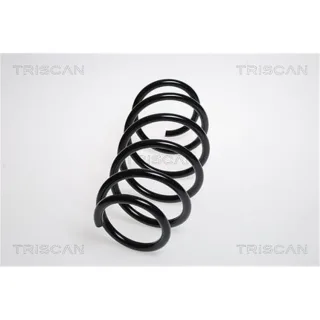 Triscan Feder vorne Opel Astra H 875024126