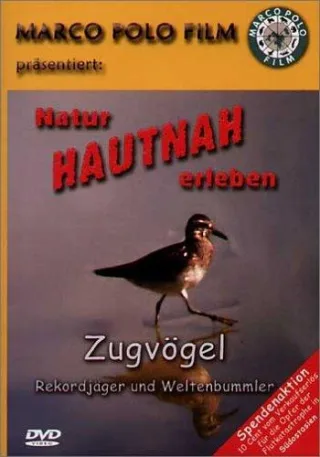 Zugvögel - Rekordjäger und Weltenbummler