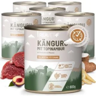 REAVET Hundenassfutter – Känguru mit Topinambur an Pastinake & Pflaume | 6 x 800g