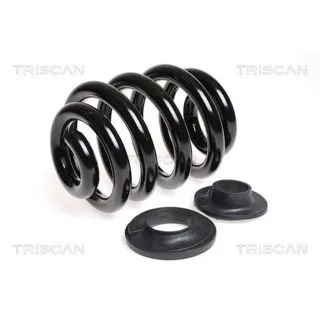 Triscan Feder hinten VW Transporter T6 875029137