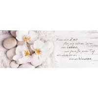 artissimo Glasbild Bild aus Glas 80x30 cm / Wandbild Querformat / Wanddeko modern, Spruchbild: Orchidee in Weiß und Beige