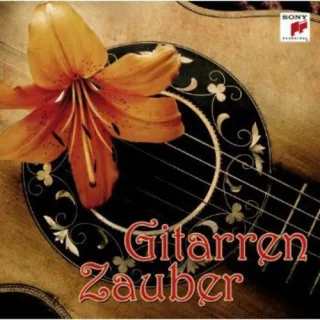Gitarren-Zauber