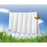 billerbeck Microfaserbettdecke Liliane, Bettdecke 135x200 cm, 155x220 cm, Sommer, Winter, Füllung: 100% Polyester, AIRFILL-Faser, Bezug: 100% Baumwolle, Die kuschelige Faserdecke für den Winter