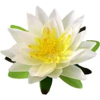 Kunstblume Seidenblume SEEROSE/Lotusblüte/Teichrose in CREME/WEISS, Gasper