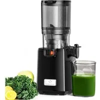 Linkchef Entsafter LINKChef SJ-052-EU-BL Slow Juicer, 250W, 1.8L, Edelstahlfilter, 250 W