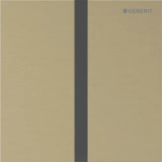Geberit Ersatzteile Typ 40 Abdeckplatte, eckig für Urinalsteuerung Infrarot, messing, 246121QF1 246121QF1