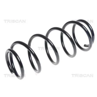 Triscan Feder hinten Nissan Pixo Suzuki Alto