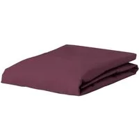 Essenza Spannbettlaken Premium Percale, Perkal, Gummizug: rundum, (1 Stück), Uni Baumwollperkal