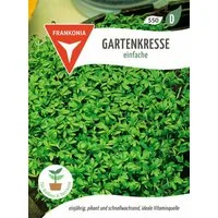 FRANKONIA Kräutersamen Gartenkresse - Großpackung - Kräuter-Samen Gewürz Saatgut Samen, Lepidium sativum