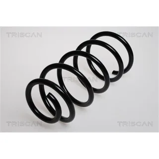 Triscan Feder vorne Mercedes Vito 87502375