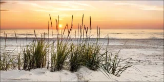 Keilrahmenbild LONELY DUNE