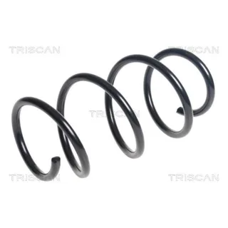 Triscan Feder vorne BMW 1er 2er